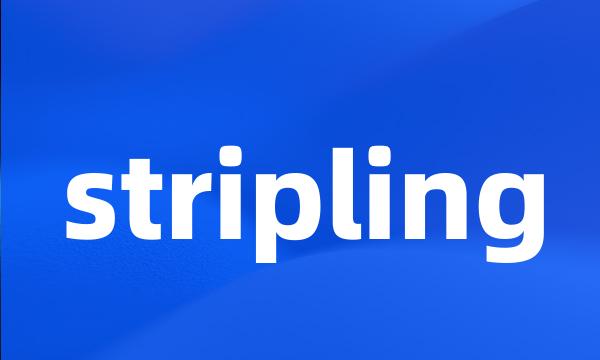 stripling