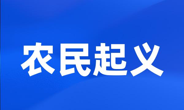 农民起义