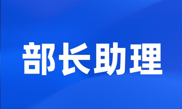 部长助理