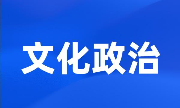 文化政治