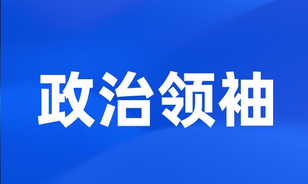 政治领袖