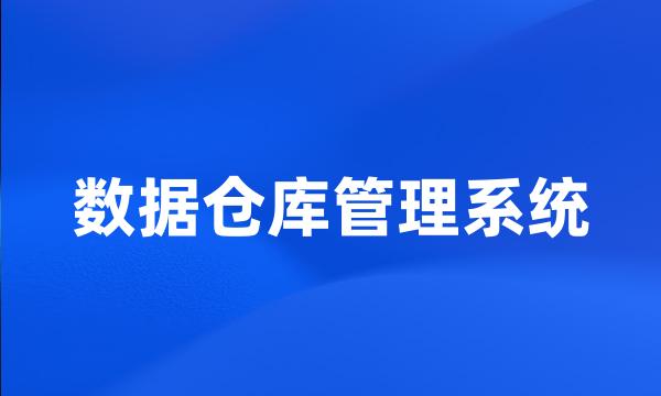 数据仓库管理系统