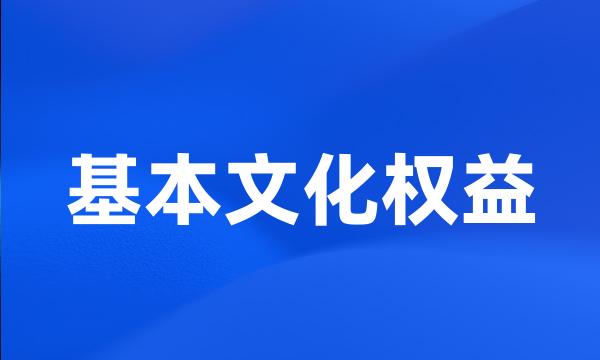 基本文化权益