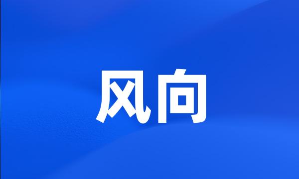 风向