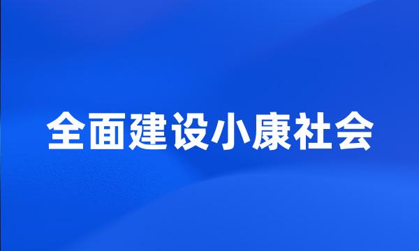 全面建设小康社会