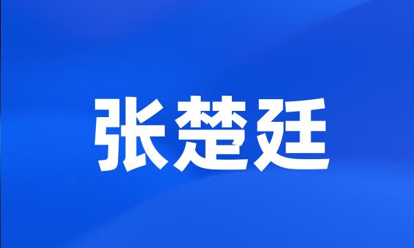 张楚廷