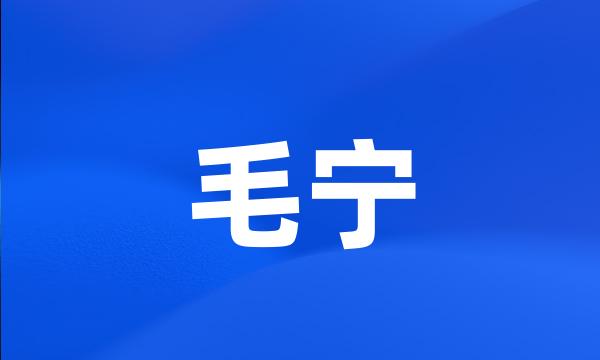 毛宁