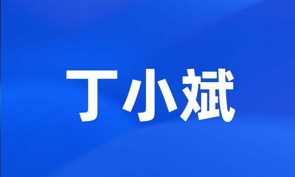 丁小斌