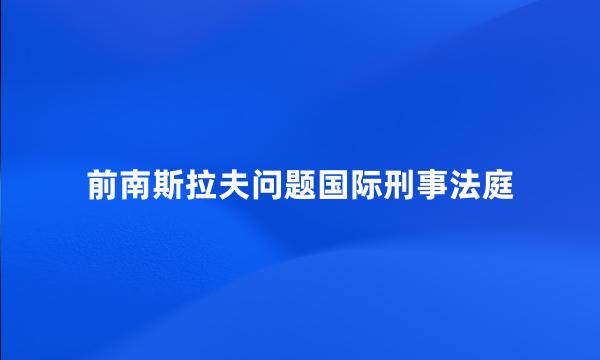 前南斯拉夫问题国际刑事法庭