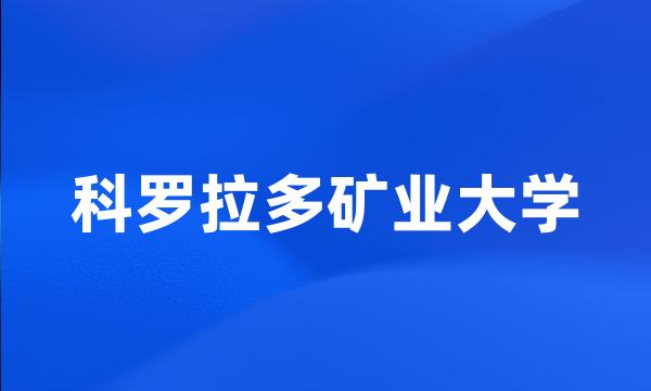 科罗拉多矿业大学