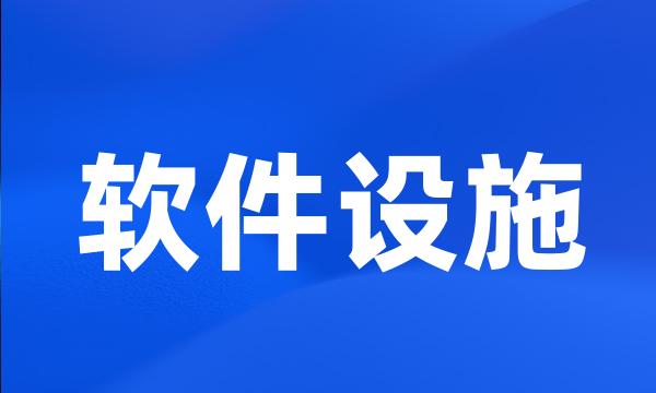 软件设施