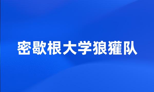 密歇根大学狼獾队