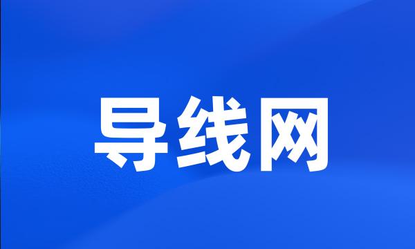 导线网