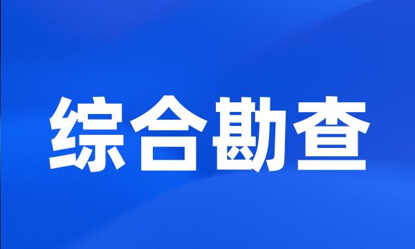 综合勘查