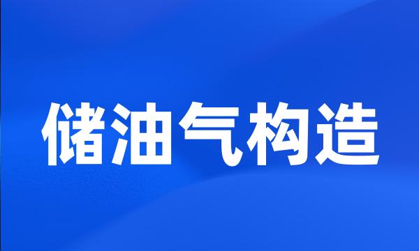 储油气构造