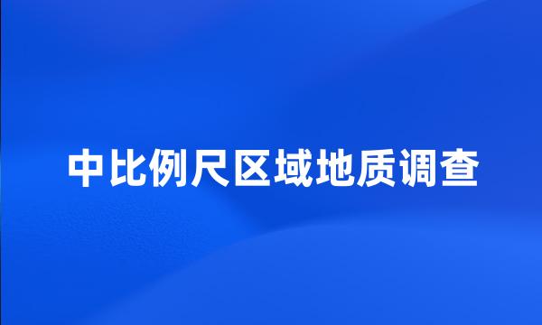 中比例尺区域地质调查