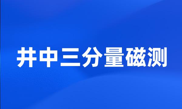 井中三分量磁测