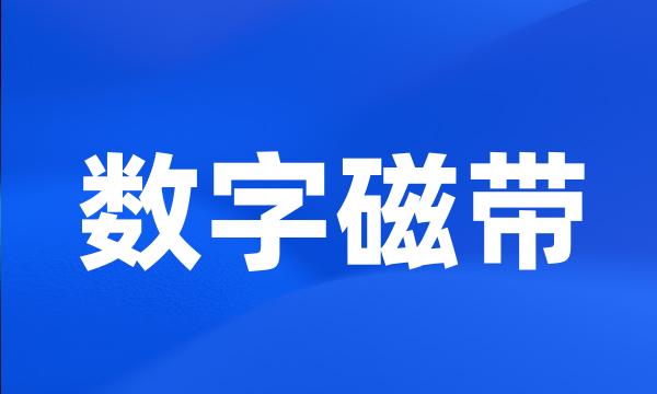 数字磁带