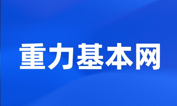 重力基本网