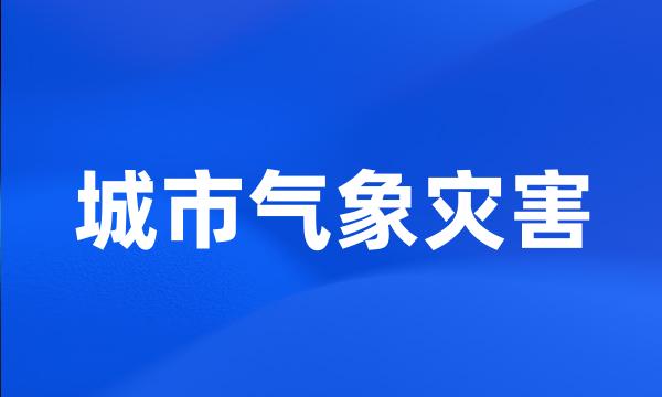 城市气象灾害