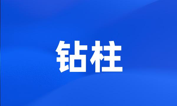 钻柱