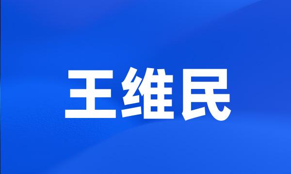 王维民