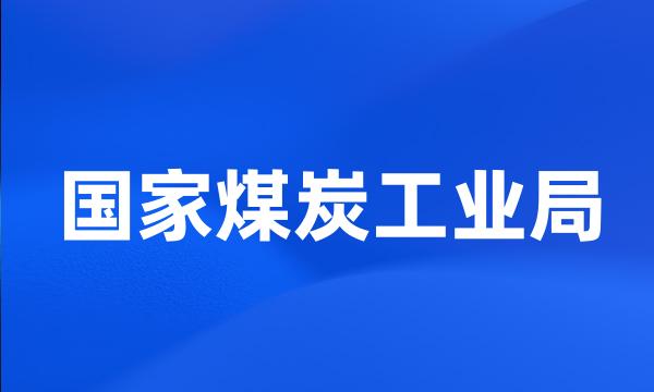 国家煤炭工业局