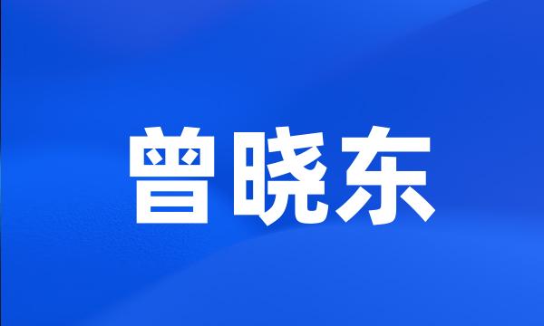 曾晓东