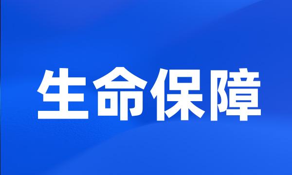 生命保障