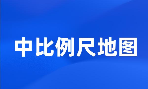 中比例尺地图