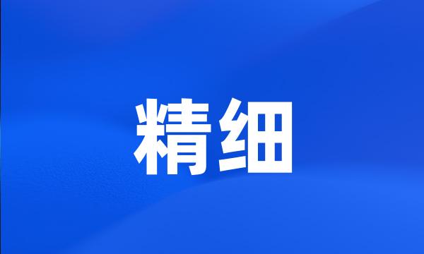 精细