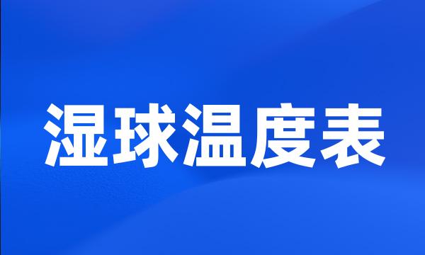 湿球温度表