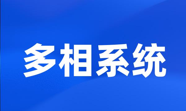 多相系统