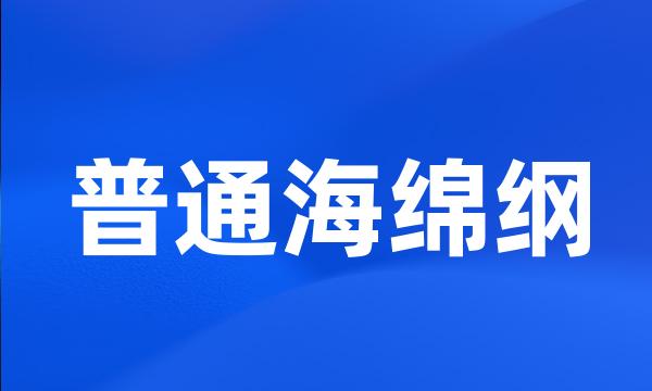 普通海绵纲