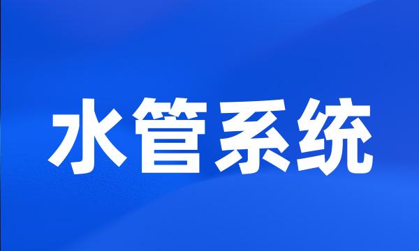 水管系统