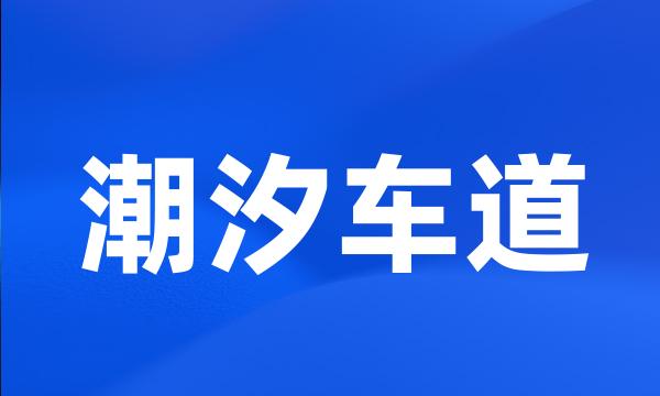 潮汐车道