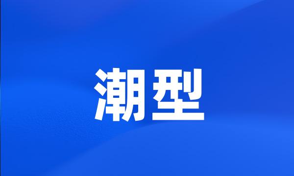 潮型