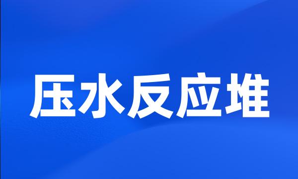 压水反应堆