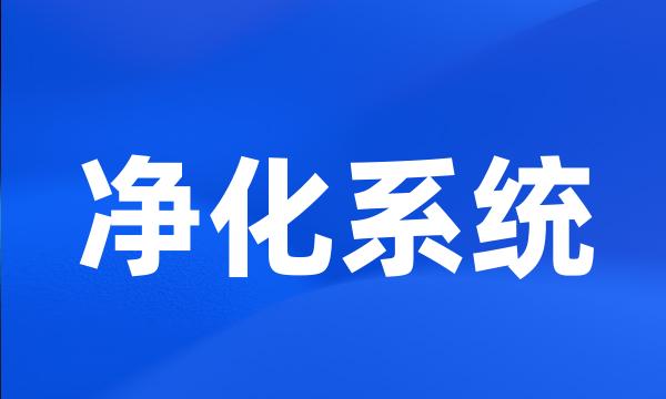 净化系统