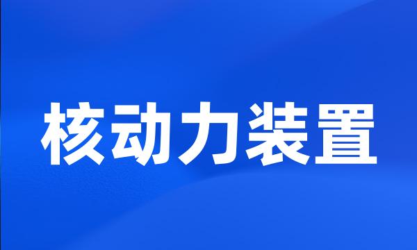 核动力装置