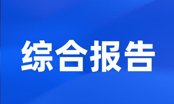 综合报告