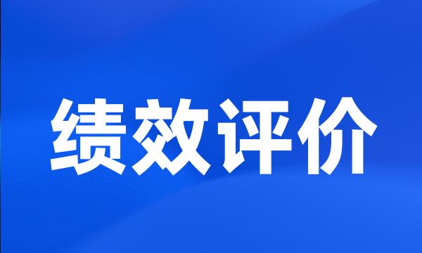 绩效评价