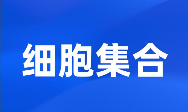 细胞集合