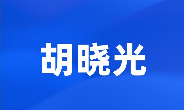 胡晓光