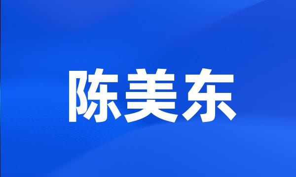 陈美东