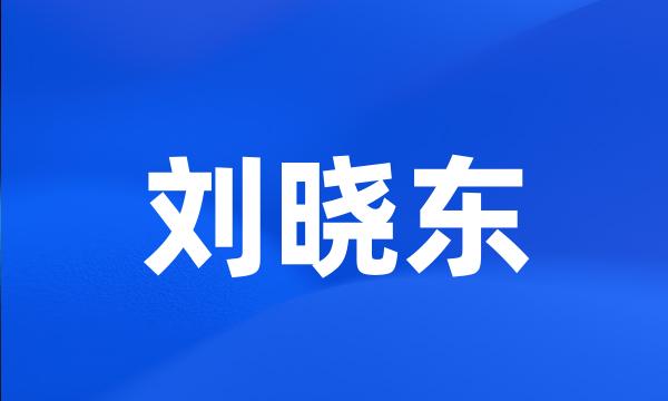 刘晓东