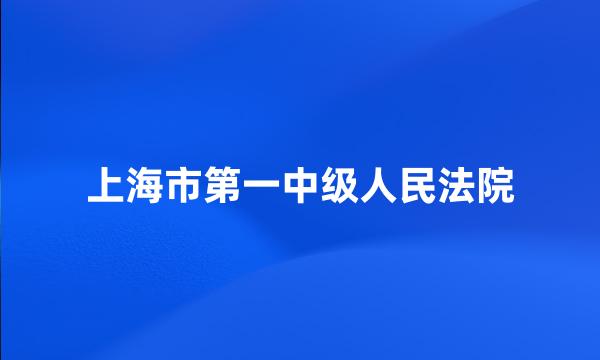 上海市第一中级人民法院