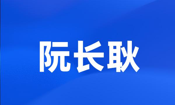 阮长耿