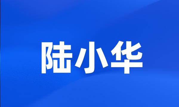 陆小华