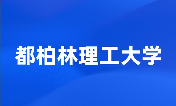 都柏林理工大学